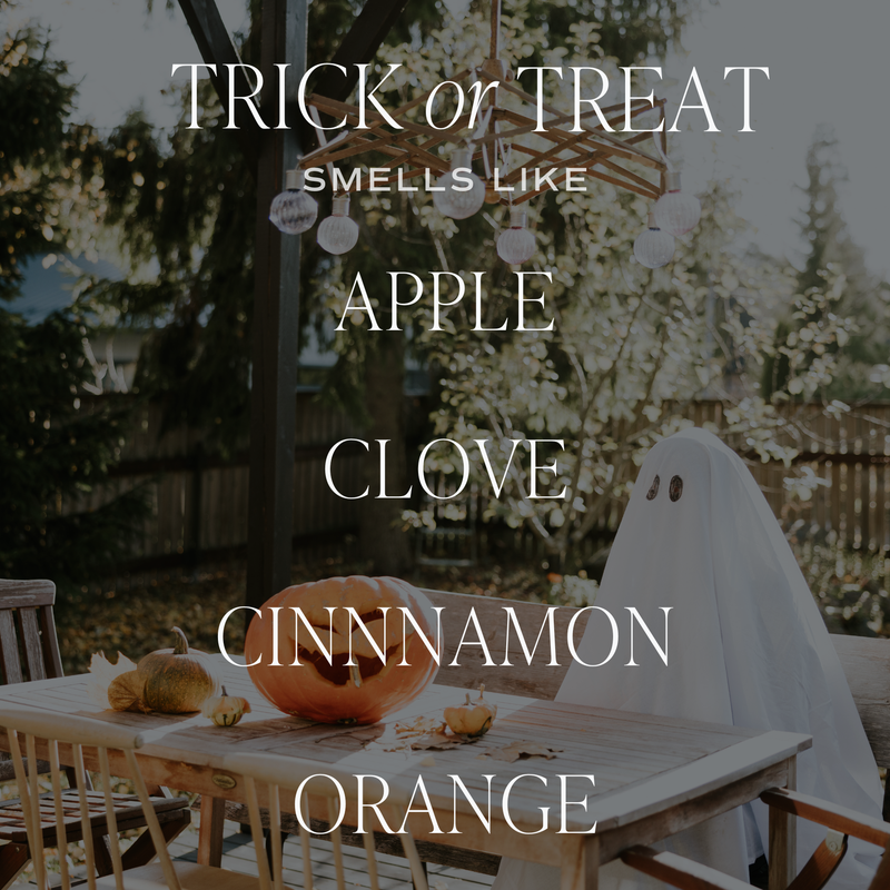 *NEW* Trick or Treat 15 oz Soy Candle, Matte Jar - Halloween