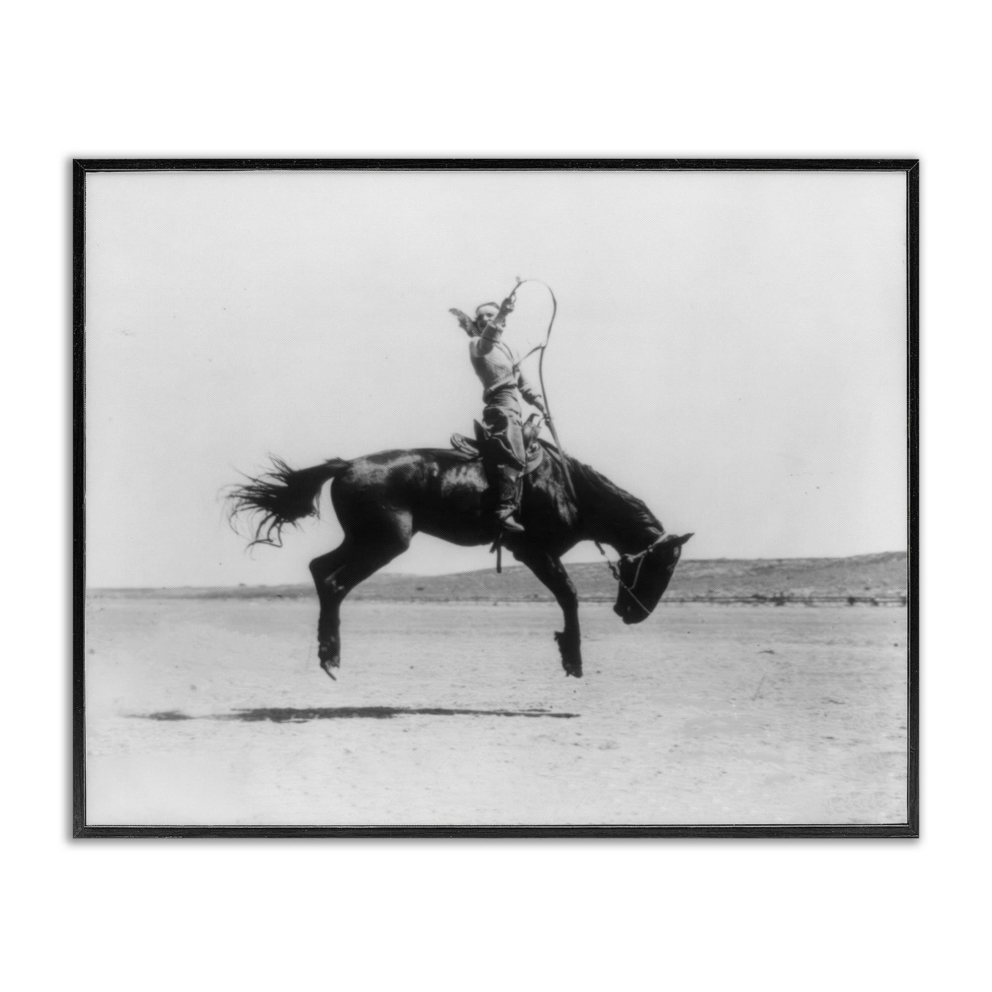 Galloping Rodeo Cowgirl Framed Art