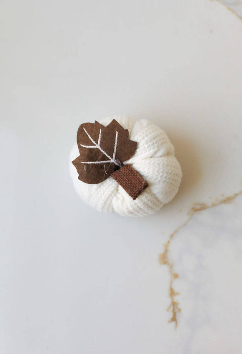 Mini Knit Pumpkins Fall Decorations