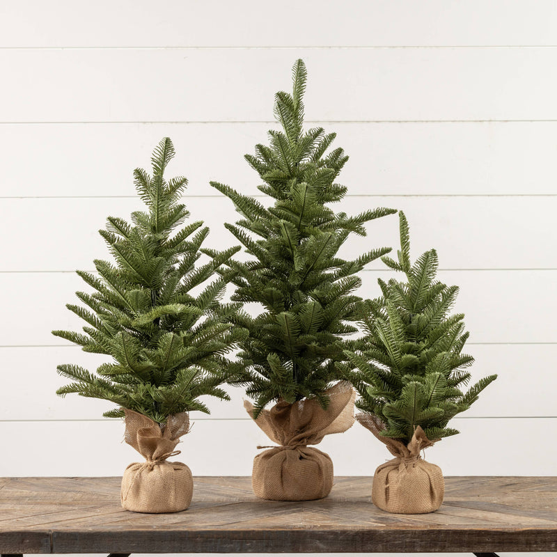 20" PINE TREE W/ TIED BURLAP BASE
