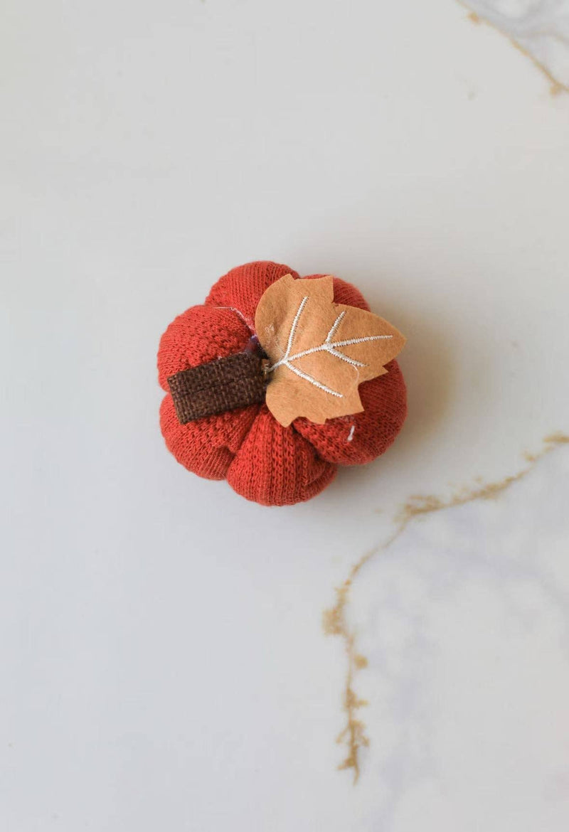 Mini Knit Pumpkins Fall Decorations