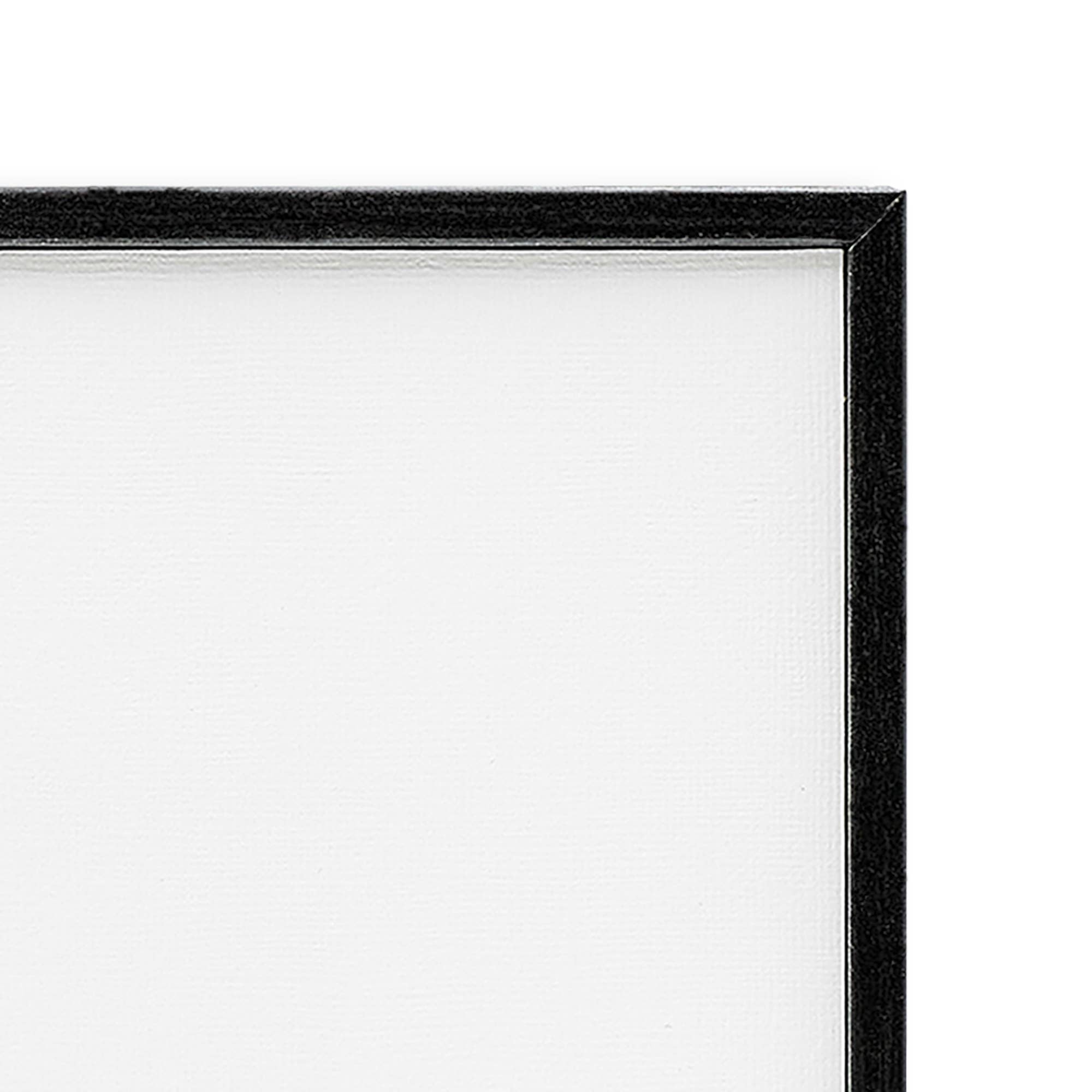 Galloping Rodeo Cowgirl Framed Art