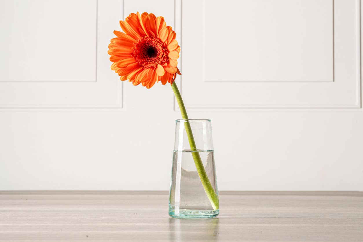 Handblown Moroccan Cone Champagne Glasses