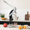 Mexican Citrus Juicer - Large