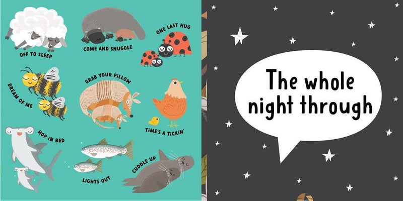 Grab Your Pillow, Armadillo: A Silly Book of Fun Goodnights - Mae It Be Home
