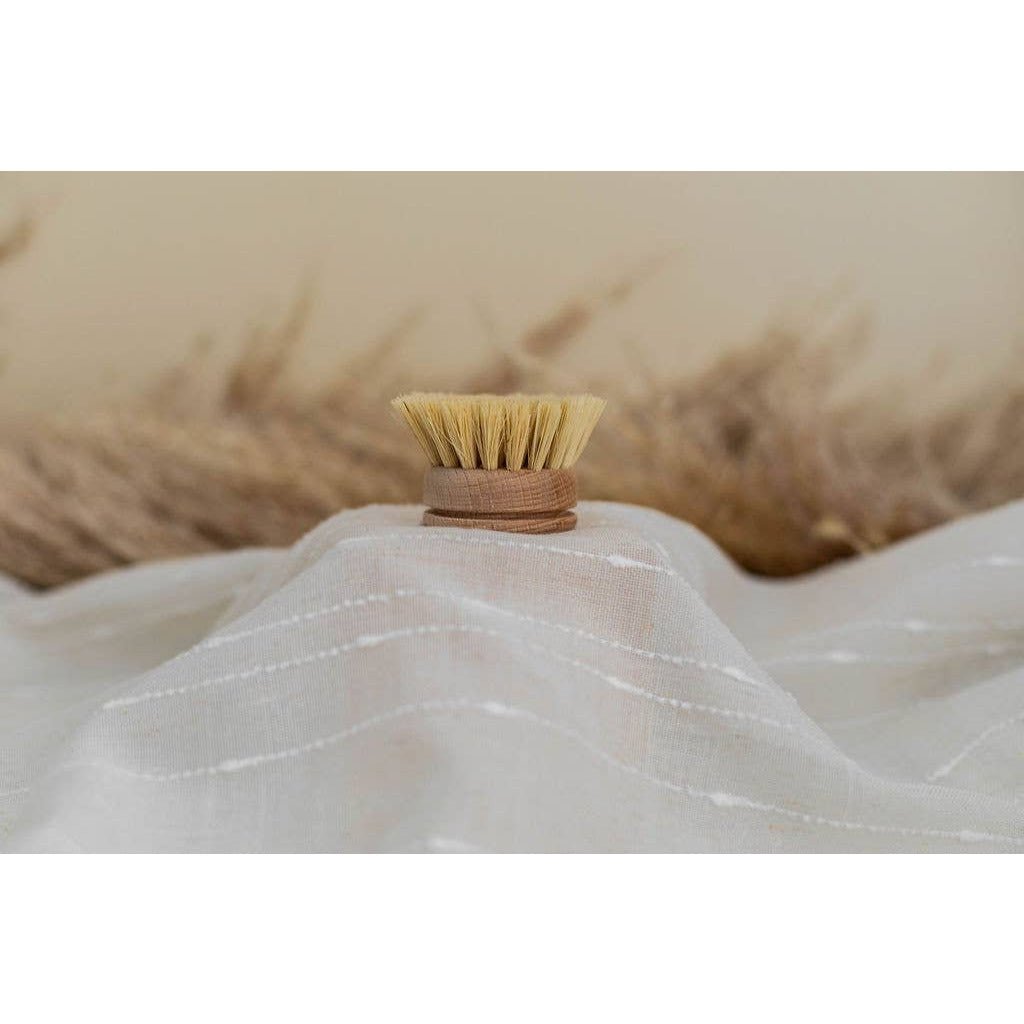 Beechwood Dish Brush Replacement Head - Mae It Be Home