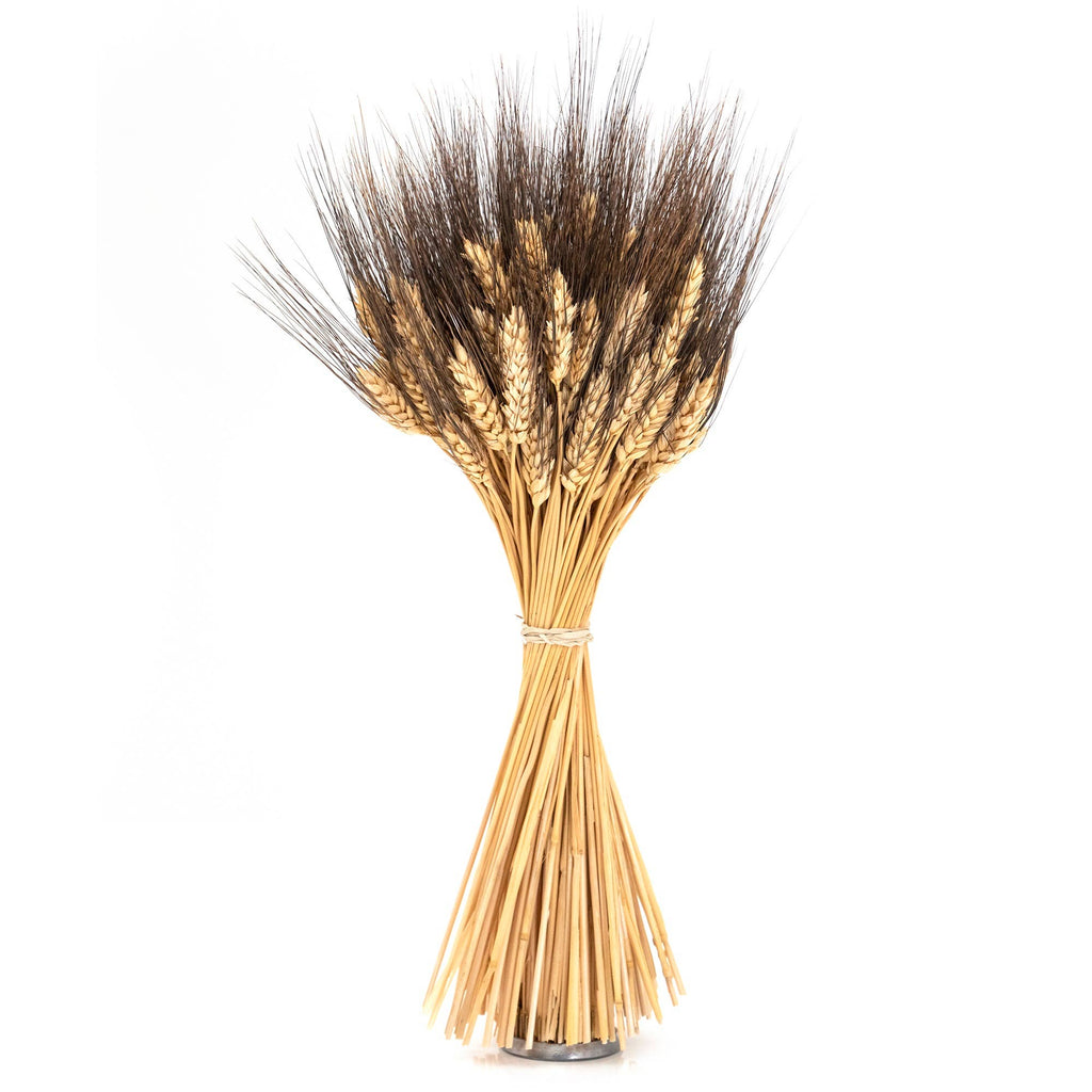 Dried Blackbeard Wheat Bundle - Mae It Be Home